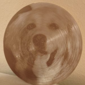 Fotografía estilo vinilo: Dale un toque vintage a tus fotos.